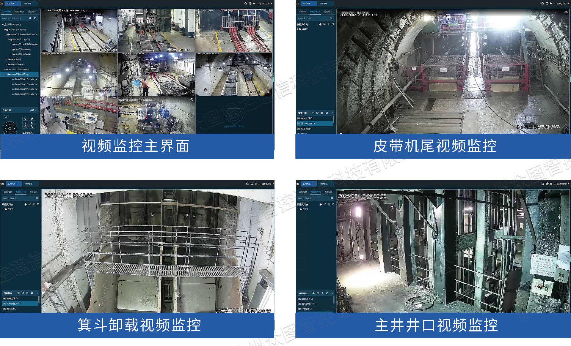 效果展示